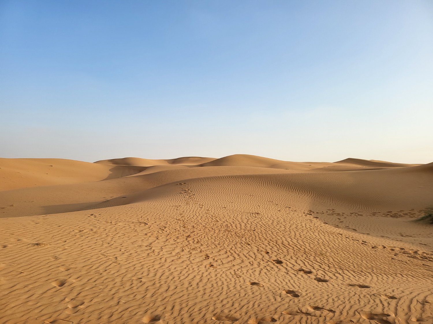 Beat Box - $NEAR | $SUI | $ONDO| $PLUME banner