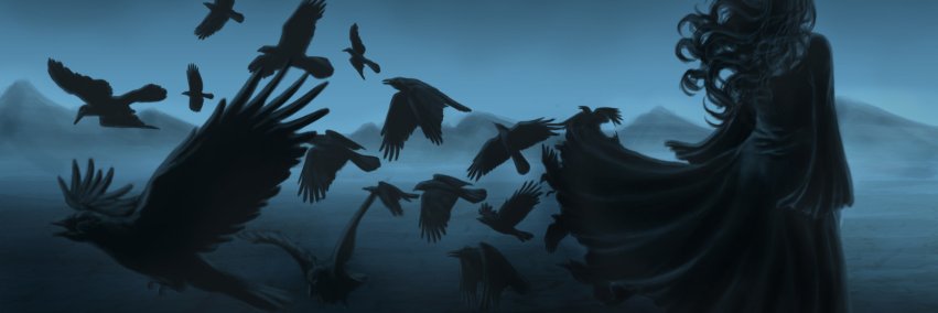 specchionero's profile banner image