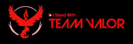 Team Valor México banner