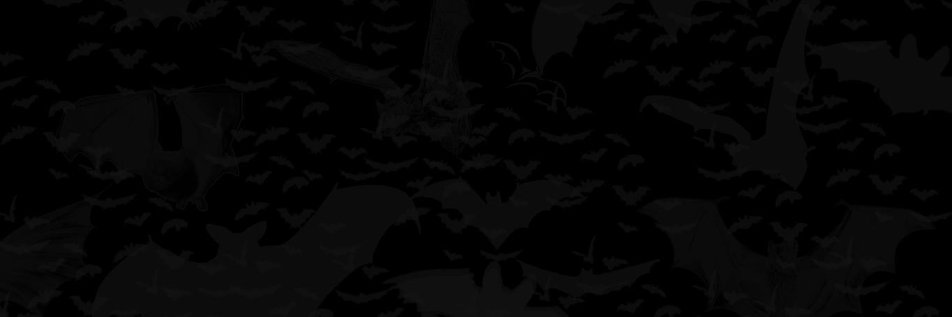 lowrrayny's profile banner image