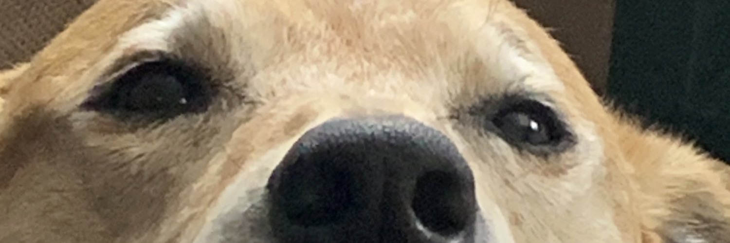 alonranger's profile banner image
