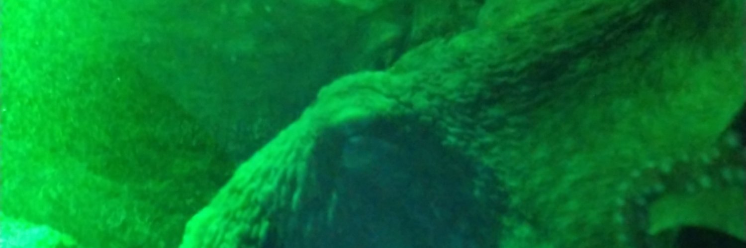 AllenH45's profile banner image