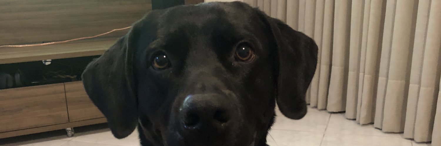 eversonnovka's profile banner image