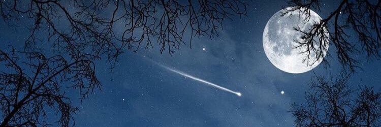 aliyaadacuno's profile banner image