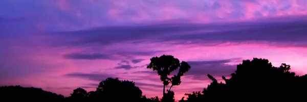 ancuninast Profile Banner