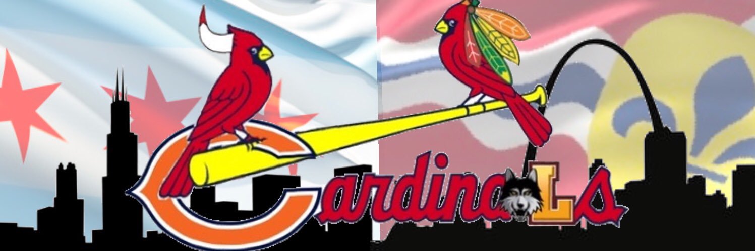 Stephen Biscotti: Owner of the Baltimore Ravens banner