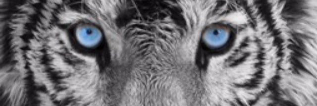 poxamachado's profile banner image