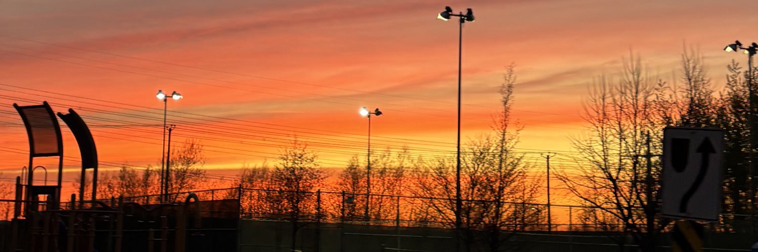 widneystacey's profile banner image