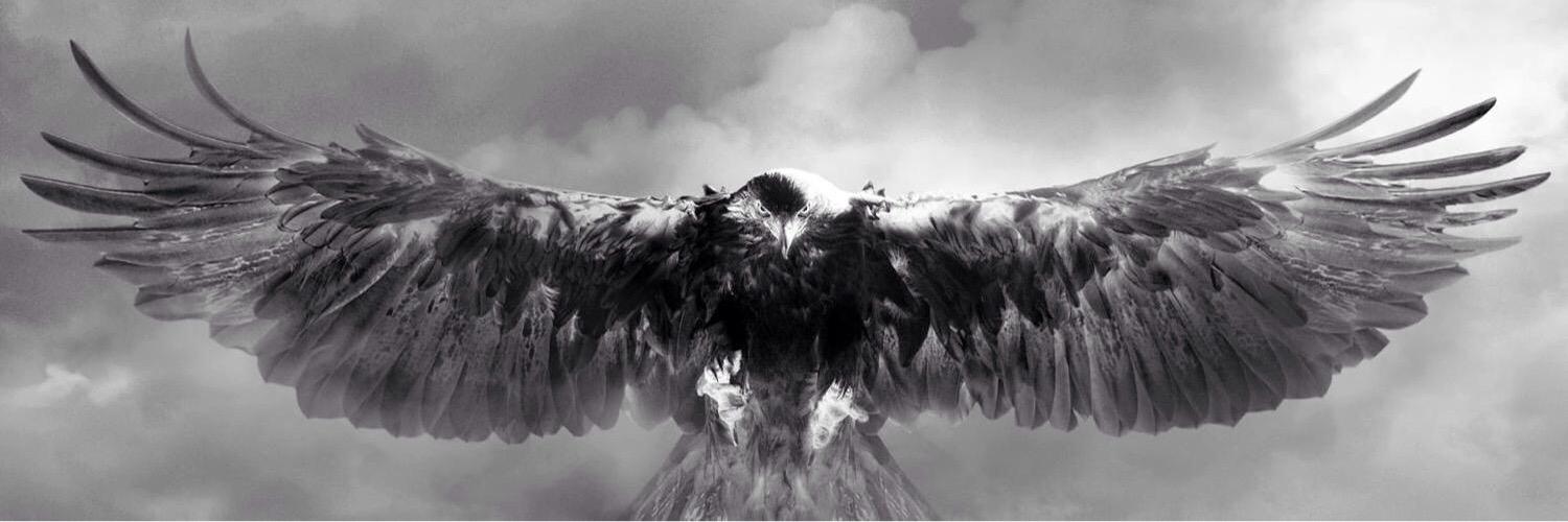 HSNincedag's profile banner image