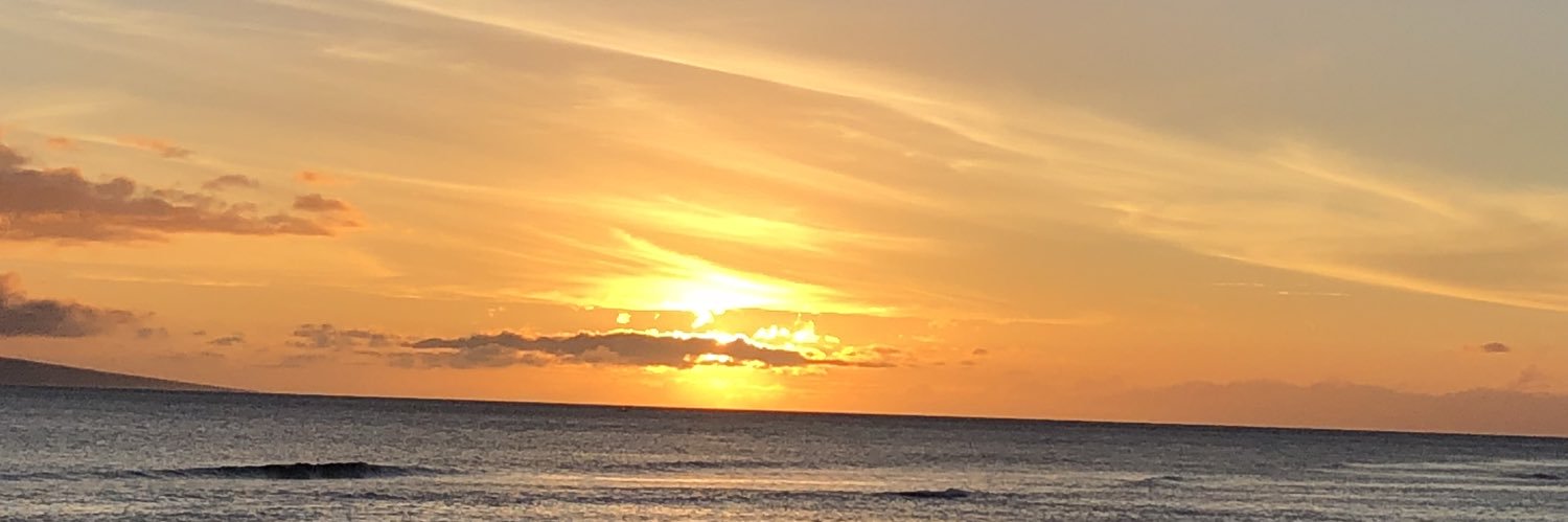 lauracollv's profile banner image