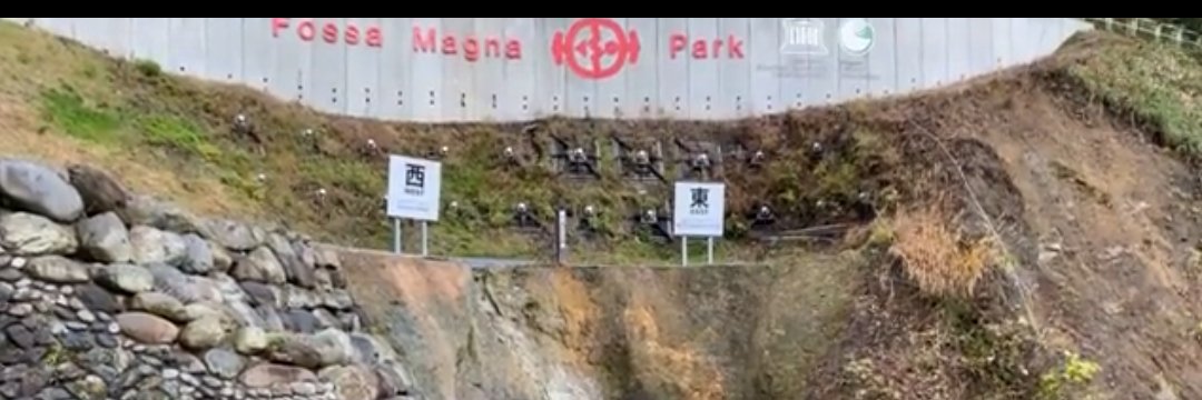 長 谷 川 悌 史 🍉🍀🌈✨: ⚾🐯 🎏 🦁📣 banner