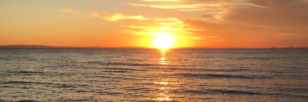 pdrhoff's profile banner image