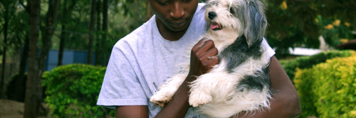 alvindenge's profile banner image