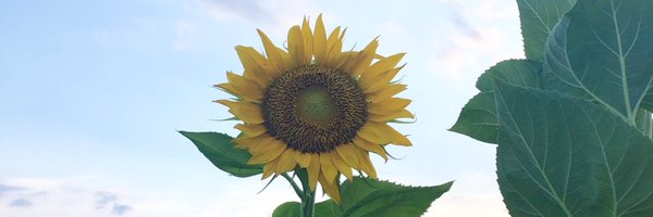 RafRegardless Profile Banner