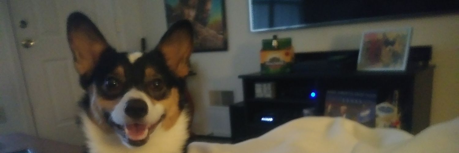 FlyingSwall0w's profile banner image