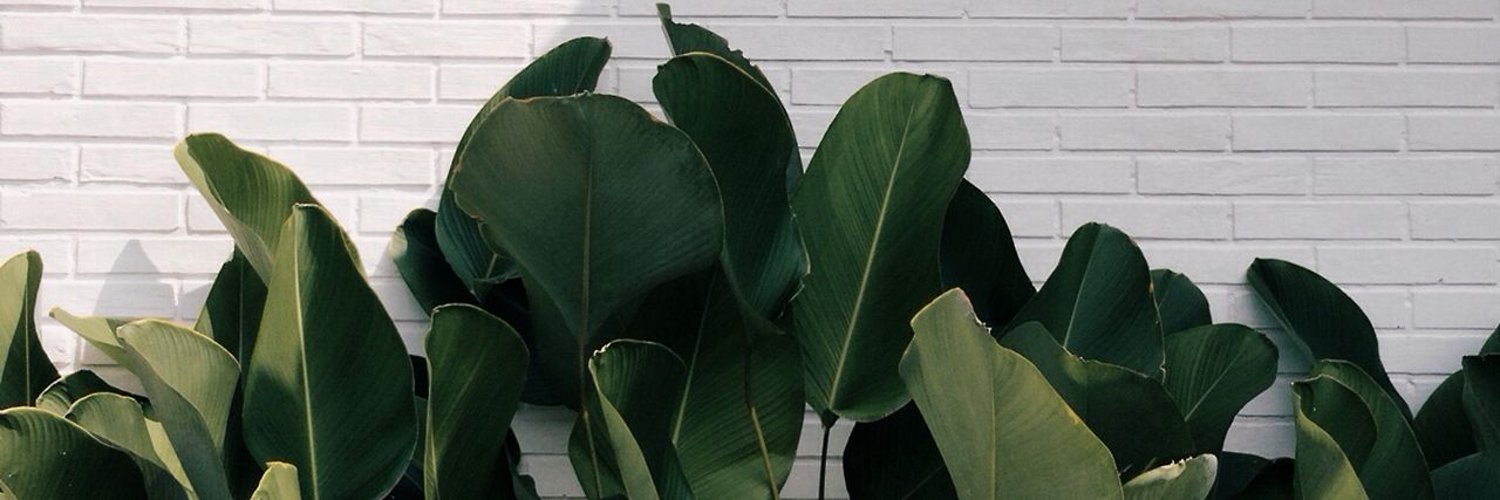 oceansvibe's profile banner image