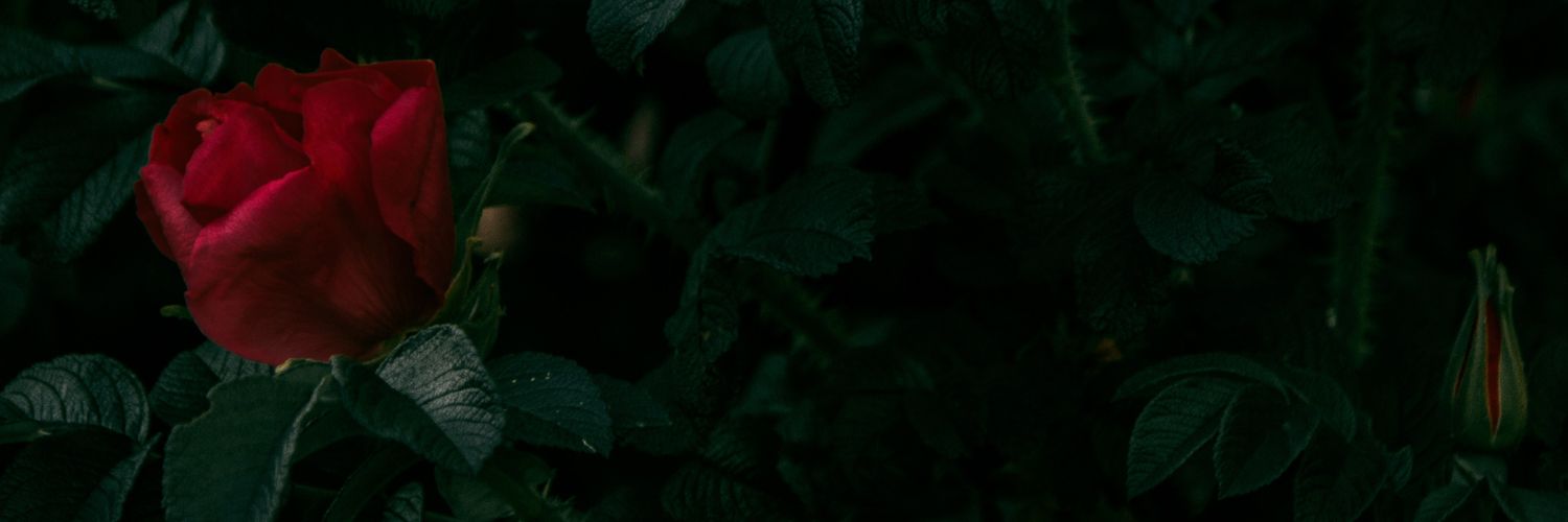 PuteraW96's profile banner image