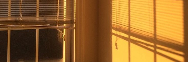 LittleDevilRock's profile banner image