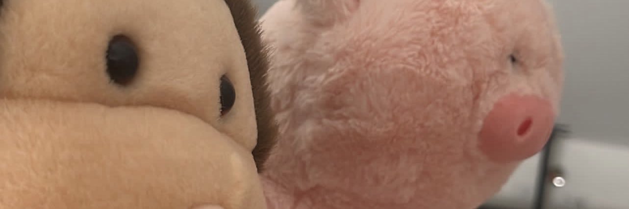 beatriceabdon_'s profile banner image