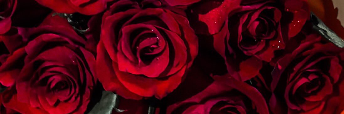 MMarmmoura's profile banner image
