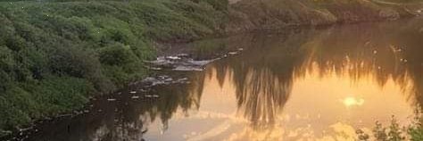 ののか banner