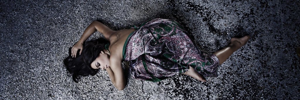 Fernanda Brandão banner