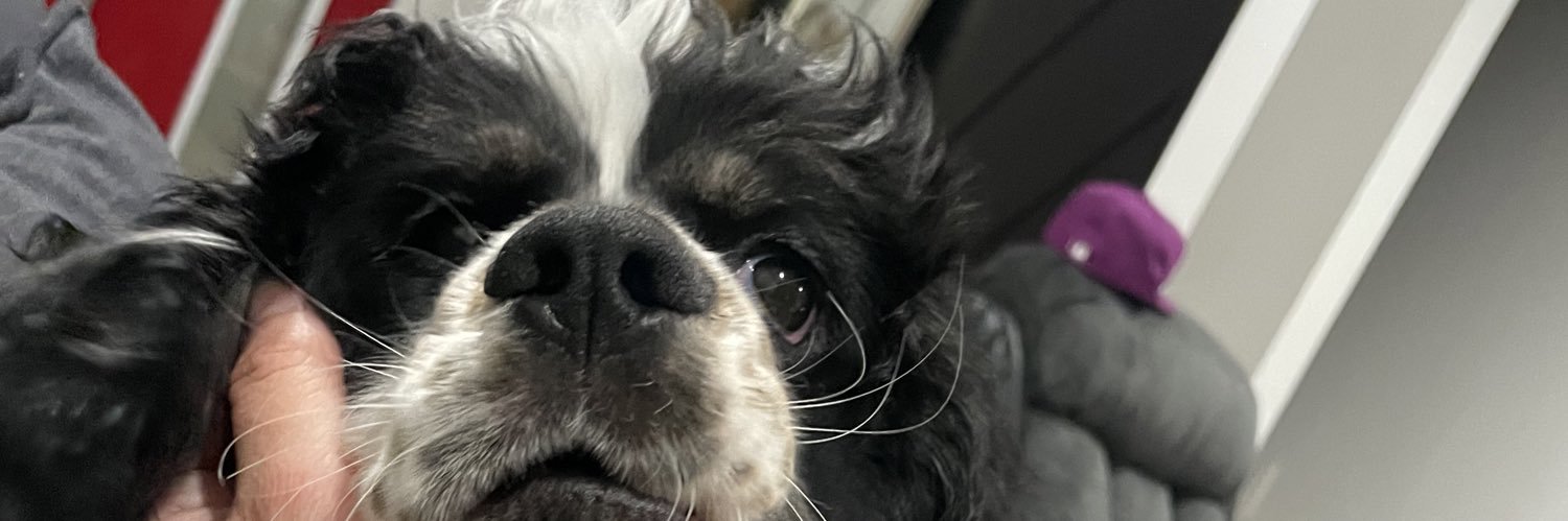 lex_tex143's profile banner image