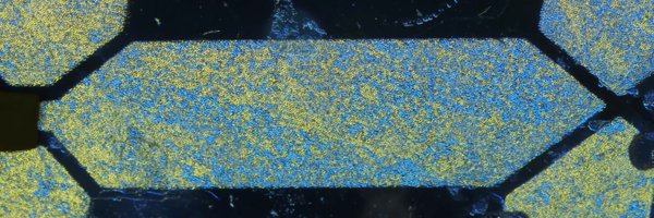 pal_codes Profile Banner