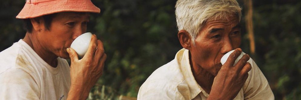 The Lost Tea Company banner