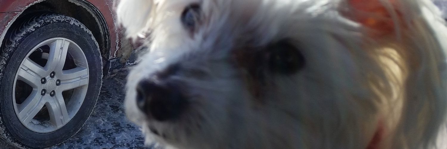 Jake banner