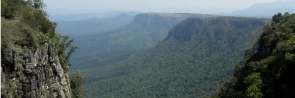 dCommunicatie Profile Banner