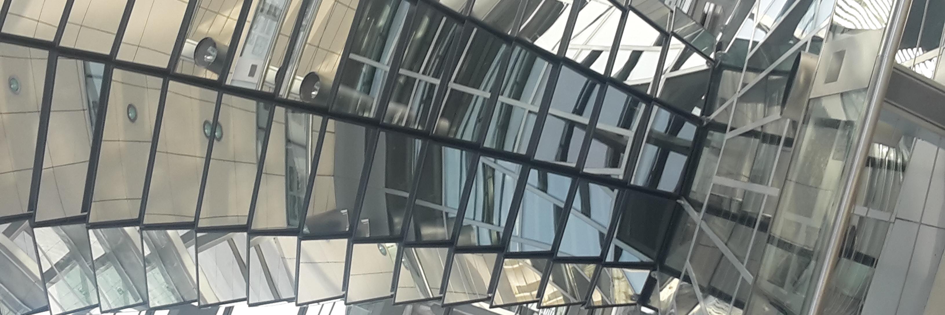 Daniela Hohmann banner