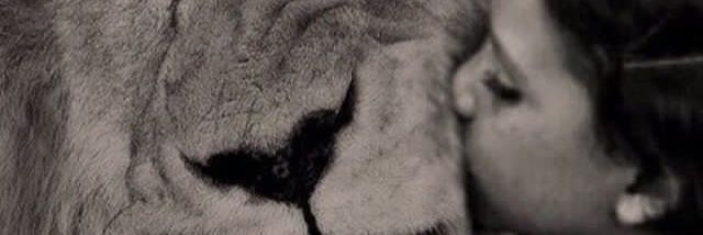 juju_moog's profile banner image