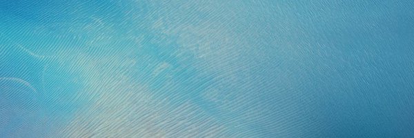 sara_kern2 Profile Banner