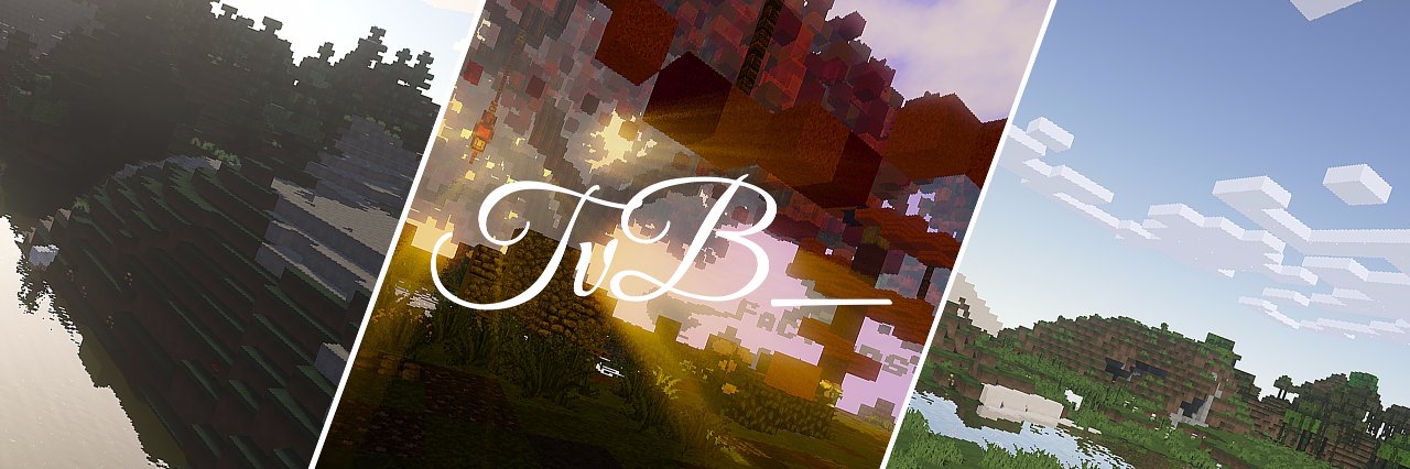 Thijs / TvB_ banner