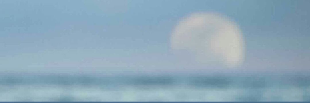 2ts2t1's profile banner image