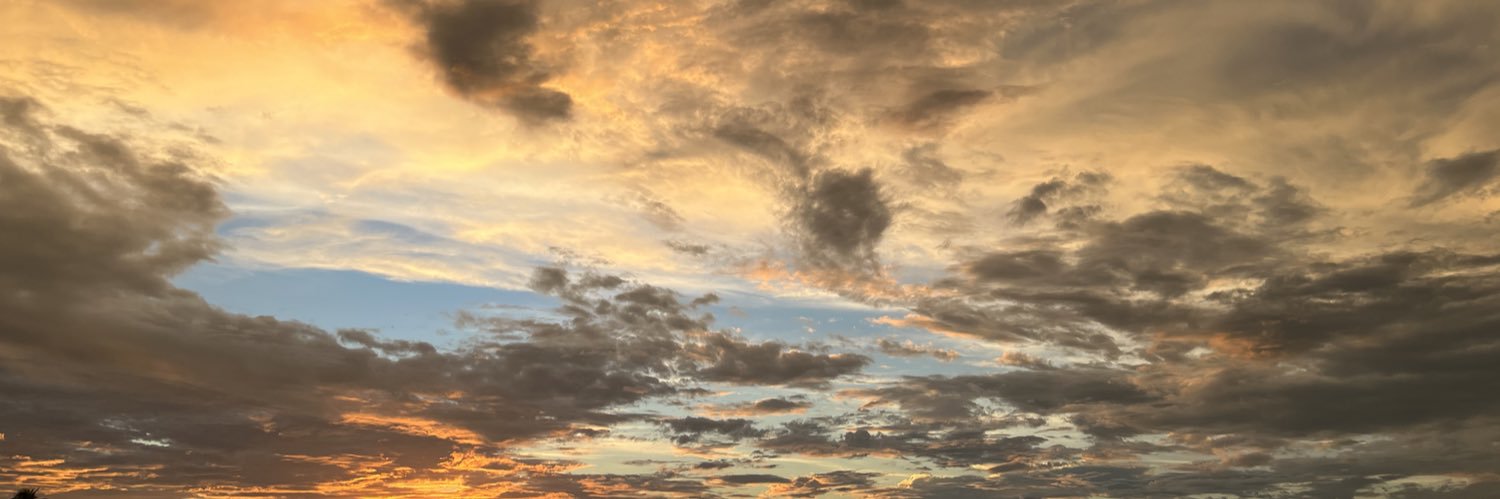 trepsilon's profile banner image