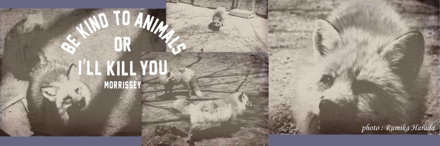 moz1414's profile banner image