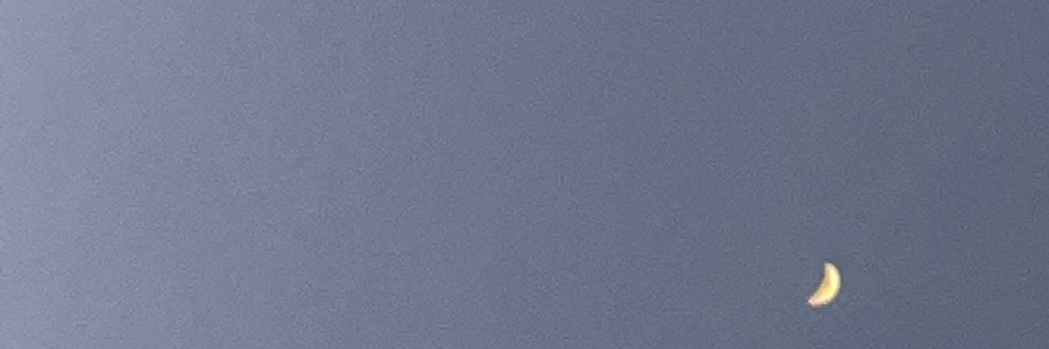 AliceRubio_'s profile banner image