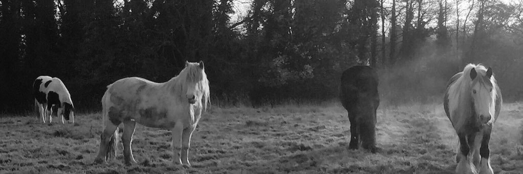 blackdogscop's profile banner image