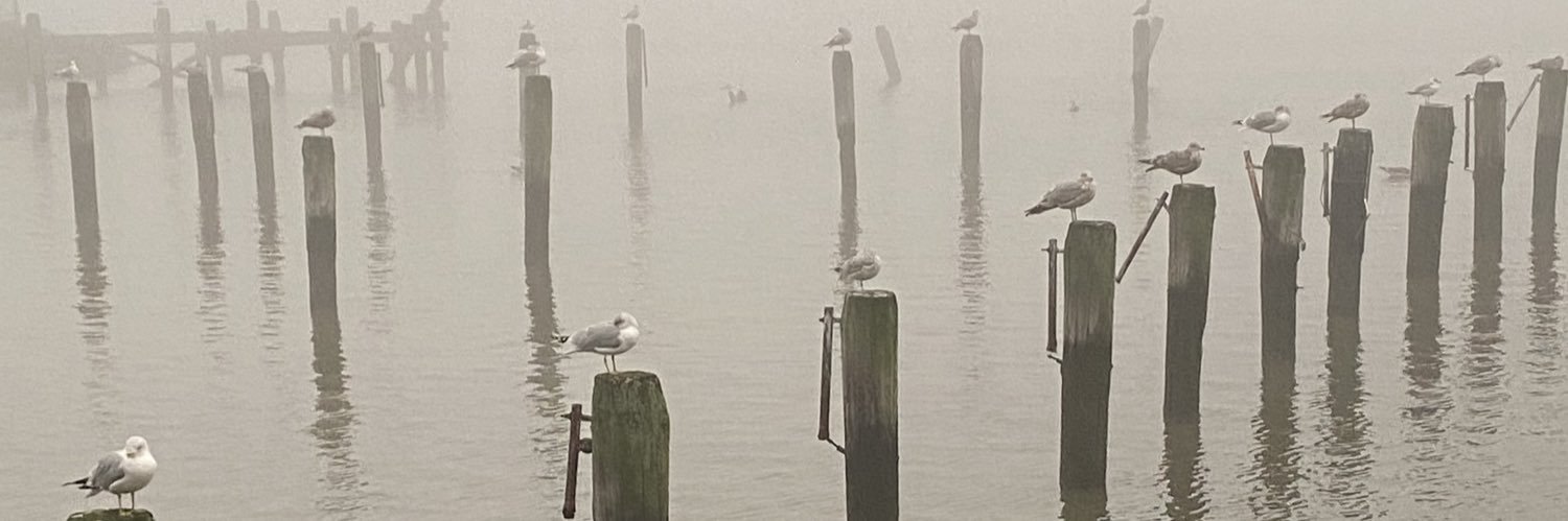 Jordan Alexander banner