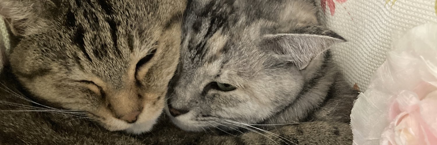 _REALDIE_'s profile banner image