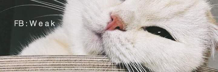 Ching18313616's profile banner image