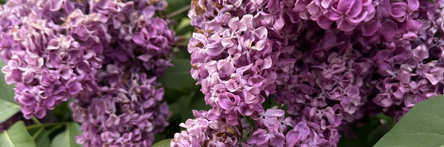 Mariofly5🥚 banner