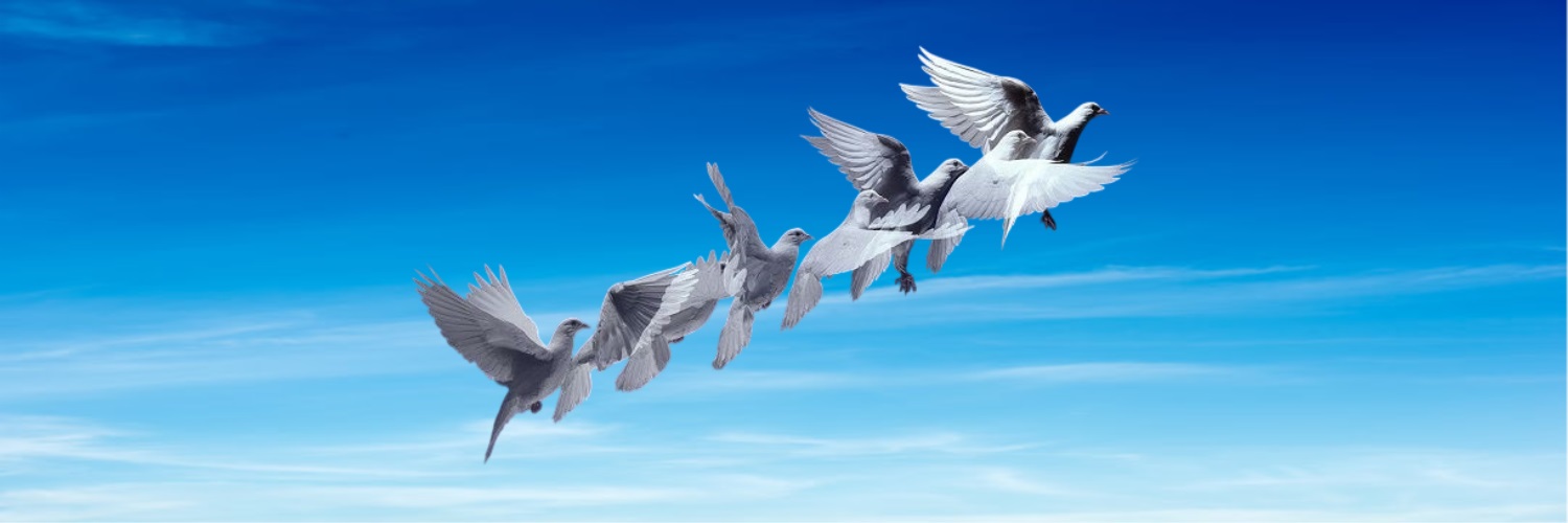 وزير الحرية banner