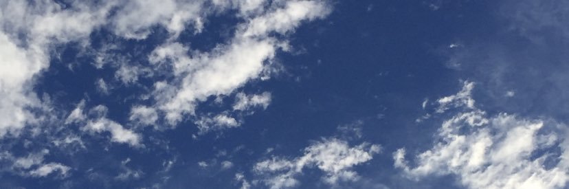 potato2491's profile banner image