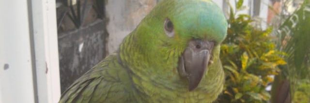 Jullianatheodo2's profile banner image