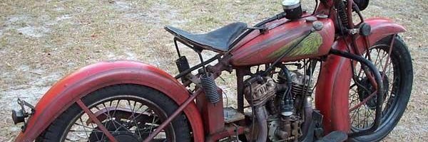 Matt The Lizard banner