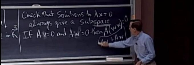 Le Chat ☔️Specht ∞ banner