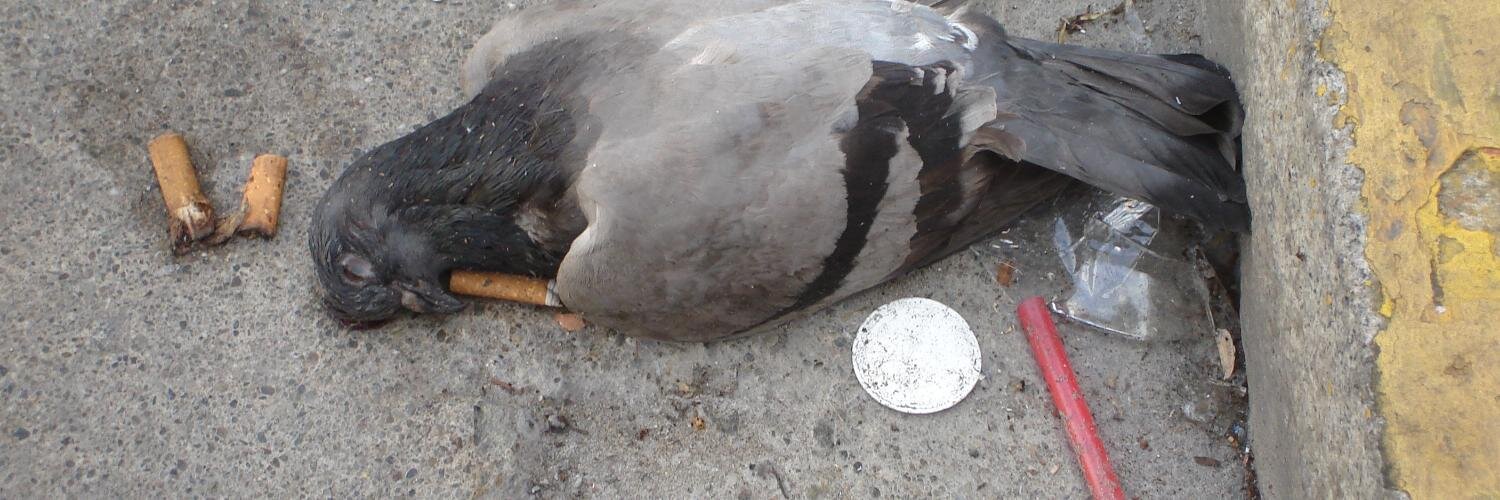 Mike Linksvayer banner